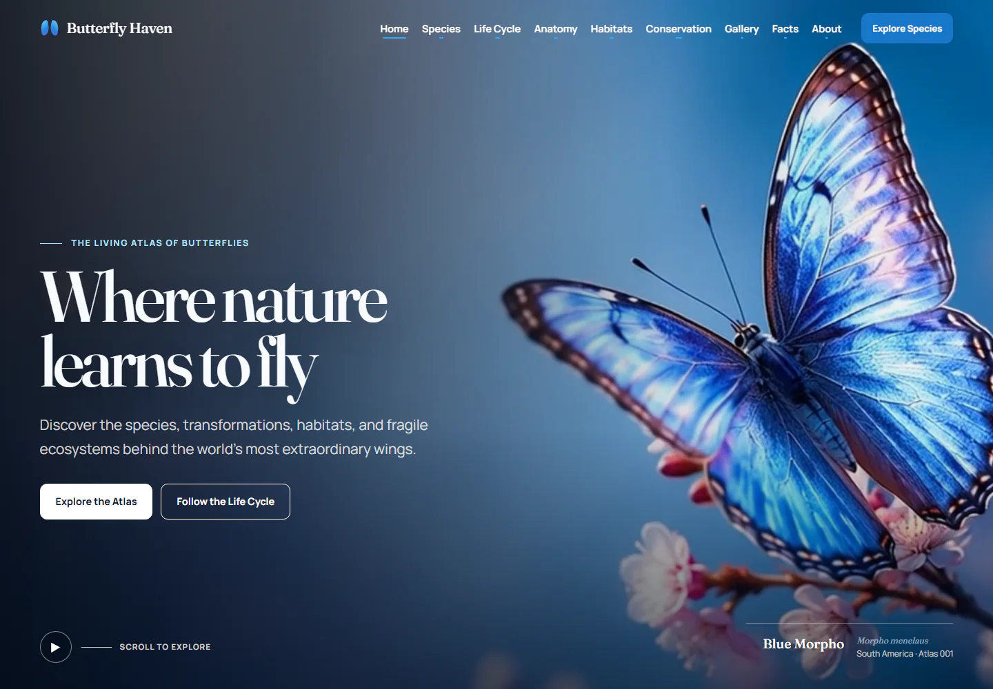 Butterfly Haven editorial website on desktop
